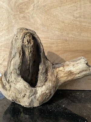 £10.95 • Buy DRIFTWOOD PIECE Unusual Shape 35x26cm  Item F106 Ideal Display/Floristry/Viv