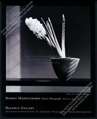 2003 Robert Mapplethorpe Flowers 1986 Photo CO Art Gallery Show Vintage Print Ad • $9.99