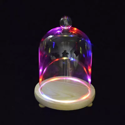 £11.95 • Buy Small Large Glass Display Cloche Bell Jar Dome With Wooden Base Multi/Warm White