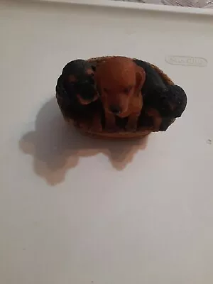 Sc-1632 Dachshund Pups In Basket Stone Critters • $13.57