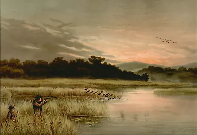 S F Denton DUCK HUNTING For MALLARDS 13x19 Reproduction Excellent   • $9.79