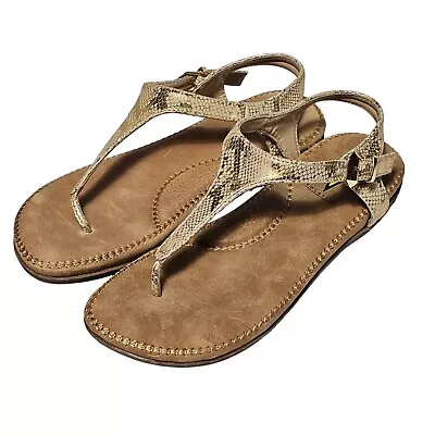 Volatile Gold T-Strap Thong Sandal Womens Size 8 Reptile Metallic  • $32