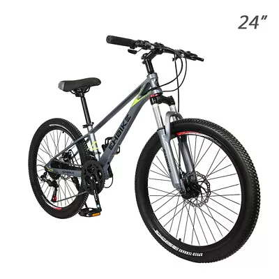 24-inch21-Speed Mountain BikeMagnesium Alloy FrameWhole Body PaintDisc Brake • $49.99