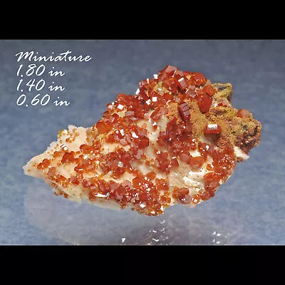 Red Vanadinite / Barite Mibladen Morocco Minerals Crystals Gems-thn • $9.98