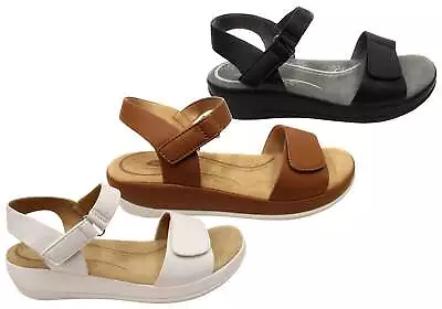 £56.56 • Buy Scholl Orthaheel Carly Womens Comfortable Memory Foam Sandals