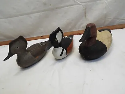 Signed Dick Robinson Bel Air MD Hooded Merganser Duck Decoy Model Canvasback  • $119.99