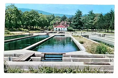 New Jersey NJ Hackettstown State Fish Hatchery Cement Ponds Postcard Old Vintage • $3