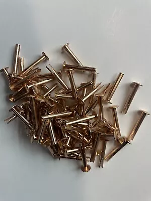 100~1/8  Diameter X 7/8  Long X 9/32 Head Diameter Brass Plated Split Rivets • $25.49