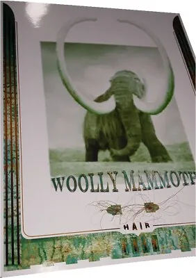 Woolly Mammoth HAIR • $19.95