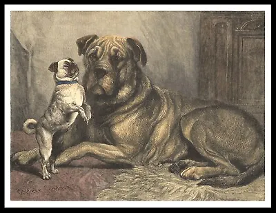 £4.99 • Buy Mastiff And Cute Pug Vintage Style Dog Art Print Poster 