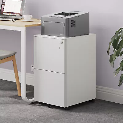 TAUS Vertical Metal File Cabinet 2 Drawers With Lock Deep Office Filing Cabinet • $105.05