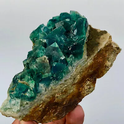 1.4lb Natural Green cubic Fluorite Crystal Cluster mineral sample Healing • $0.99