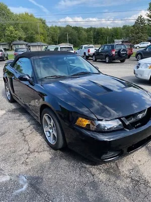 2003 Ford Mustang  • $35000