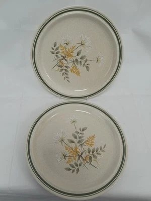 £12.60 • Buy Royal Doulton Lambethware 'Will O' The Wisp LS1023- 2 Dinner Plates 26 Cm