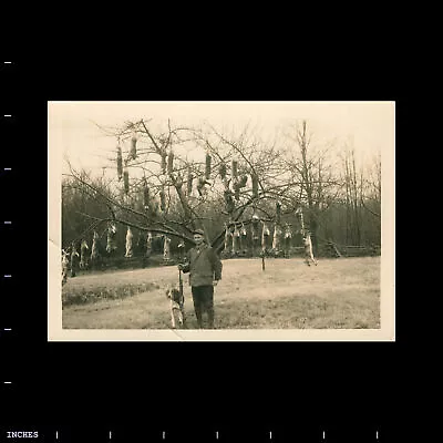 Vintage Photo MAN WITH DOG AND HUNTING RIFLE RABBITS IN TREE CREASED • $20