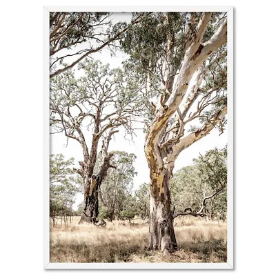 Australian Outback Landscape Art Print. Gumtree Eucalyptus Trees Poster | LND-35 • $22.95
