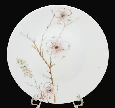 $3.99 • Buy Rosenthal BLUSH Salad Plate Designed By Raymond Loewy Germany