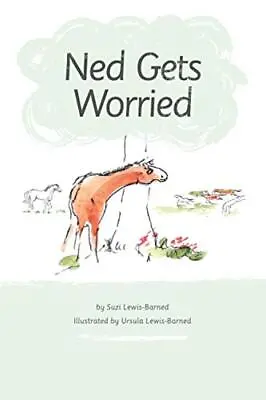 Ned Gets Worried Lewis-Barned Ms Suzi • £4.85