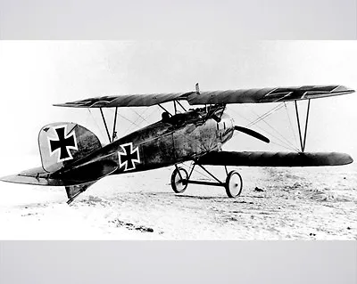New 8x10 World War I Photo: Albatros D.III Of  Red Baron  Manfred Von Richthofen • $11.99