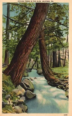 Postcard PA Milford Kissing Trees In The Glen Linen Unposted Vintage PC H2939 • $2
