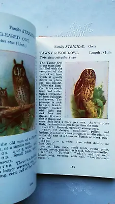 S Vere Benson The Observers Book Of British Birds Copyright F Warne 1939 ? Rare • £39.95