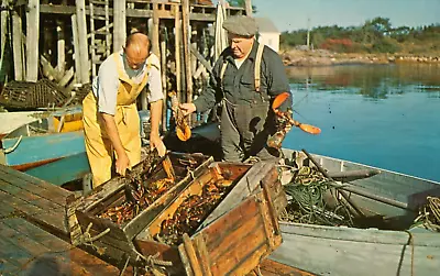 Postcard Lobster Fishing Traps Men Maine Chrome • $4.65