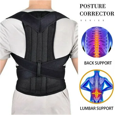 $19.49 • Buy Waist Support Belt Lumbar Back Brace Heavy Work Pain Relief For Men Women Corset