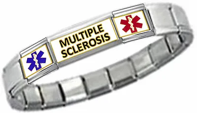 MS MULTIPLE SCLEROSIS ID 9mm + Italian Charm SILVER TONE SHINY Starter Bracelet • $18.98