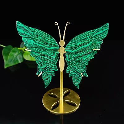 5'' Natural Crystal Synthetic Malachite Stone  Butterfly Wing Decor Statue+Stand • $66.49