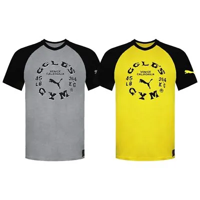 Puma X Golds Gym Mens Raglan Training Tee Logo Graphic T-Shirt 519616 • £20.79