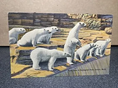 $11.99 • Buy Polar Bears At The Zoo Detroit Michigan Postcard￼