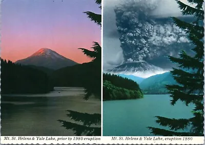 Postcard Washington Mt. St. Helens & Yale Lake Prior To And 1980 Eruption • $4.99