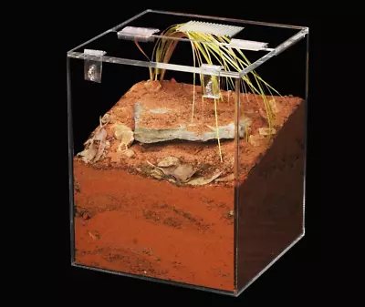 24cm*24cm*30cm Acrylic Enclosure ( Terrarium  Tarantula Scorpion Reptile Tank )  • $65