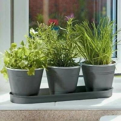 Grey Triple Windowsill Pot With Tray Modern Metal Flower Herbs Cactus Planter • £10.98