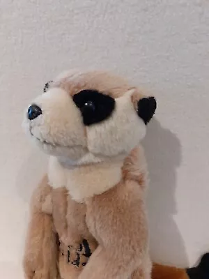 Tropical World Standing Meerkat Plush Soft Toy • £7