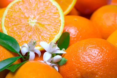 $5.65 • Buy CITRUS TREE (COMPARE TO ORANGE BLOSSOM®) Soap / Candle Fragrance Oil 1-16 Ounce
