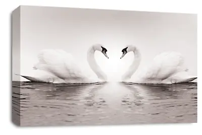 Love Wall Art Print Kissing Swans Love Heart Framed Canvas Picture Large • £29.99