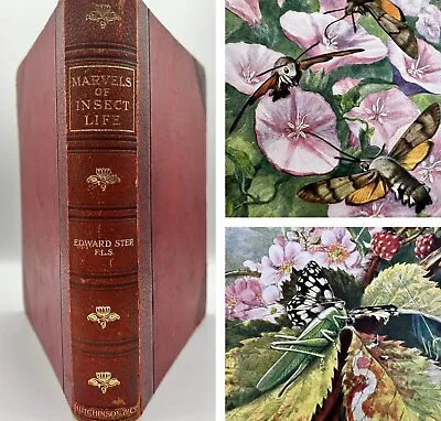 £79.99 • Buy Marvels Of Insect Life: By - Edward Step - Illustrated Colour Plates, Leather