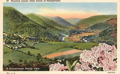 Postcard PA Mountain Laurel State Flower Pennsylvania Linen Vintage PC G8636 • $4