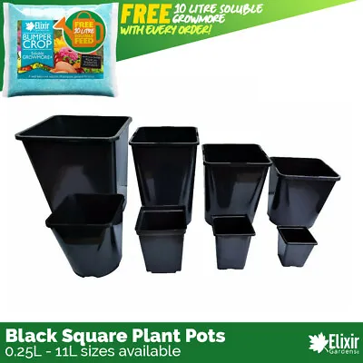 Square Plant Pot 0.25 0.75 1 2 3 5 5.5 11 L Strong Black Plastic Hydroponic Pots • £8.59