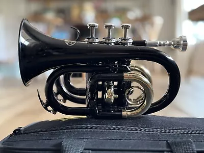 Skylark Brand  Pocket Trumpet Mini Trumpet Silver Gold W/Case Used • $149.99