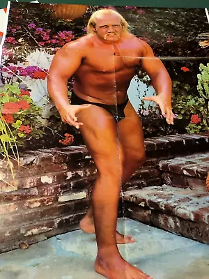 Vintage 1985 Large Hulk Hogan Poster From Pop Tv Giants Magazine See Desription • $20.48