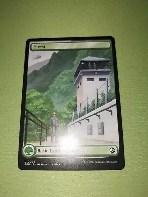 MTG - Forest - The Lost Caverns Of Ixalan - Jurassic World Collection - NM • £6