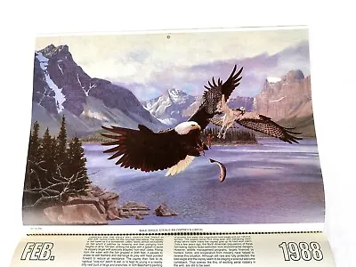 Vintage Remington 1988 Wildlife Calendar Tom Beecham Prints • $4.99