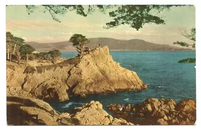 Monterey California CA Postcard Midway Point • $1.99