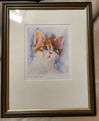 £49.99 • Buy Stunning Signed Framed Print Cat Picture 'Eye Spy' By Sheila Gill 12.5  X 15.5 