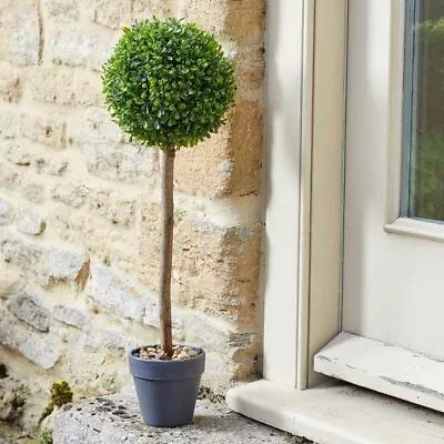 Uno Boxwood Topiary Tree In Pot Garden Floral Display 40cm • £12.99