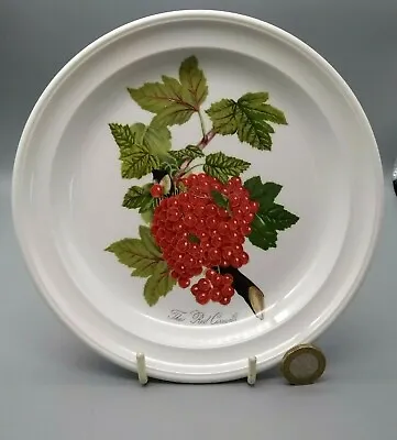 £12 • Buy Portmeirion Pomona Side Plate - The Redcurrant - 7 3/8  18.5cm