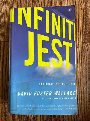 David Foster Wallace INFINITE JEST Back Bay Books Trade Paperback • $6