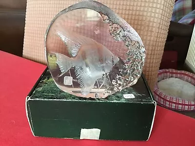 Mats Jonasson Lead Crystal Angel Fish Sculpture Paperweight Sweden Boxed • £29.50